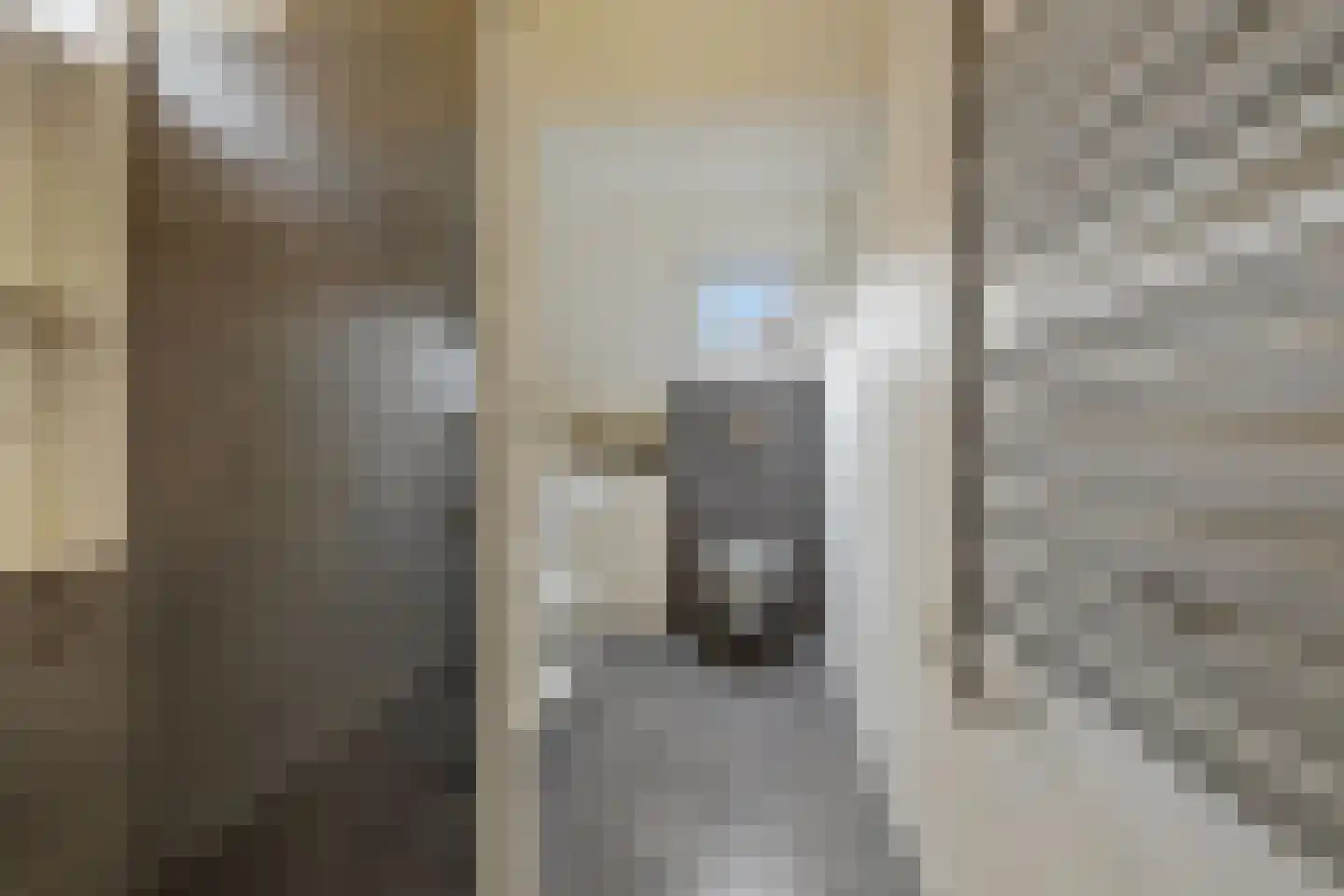 Van der Palmstraat 1 Utrecht thumbnail 23