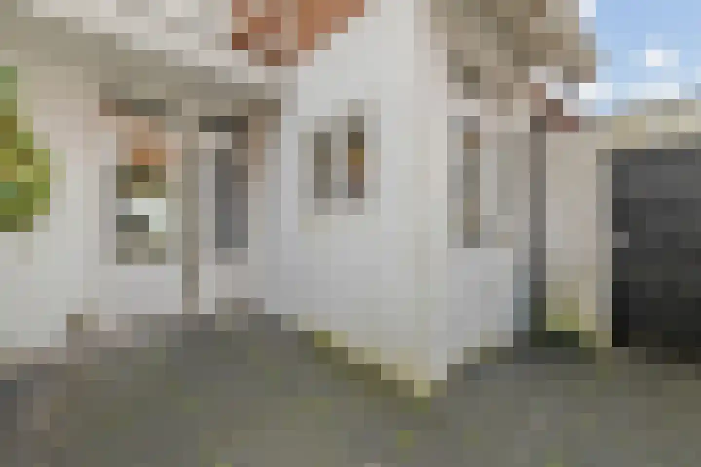 Van der Palmstraat 1 Utrecht thumbnail 34