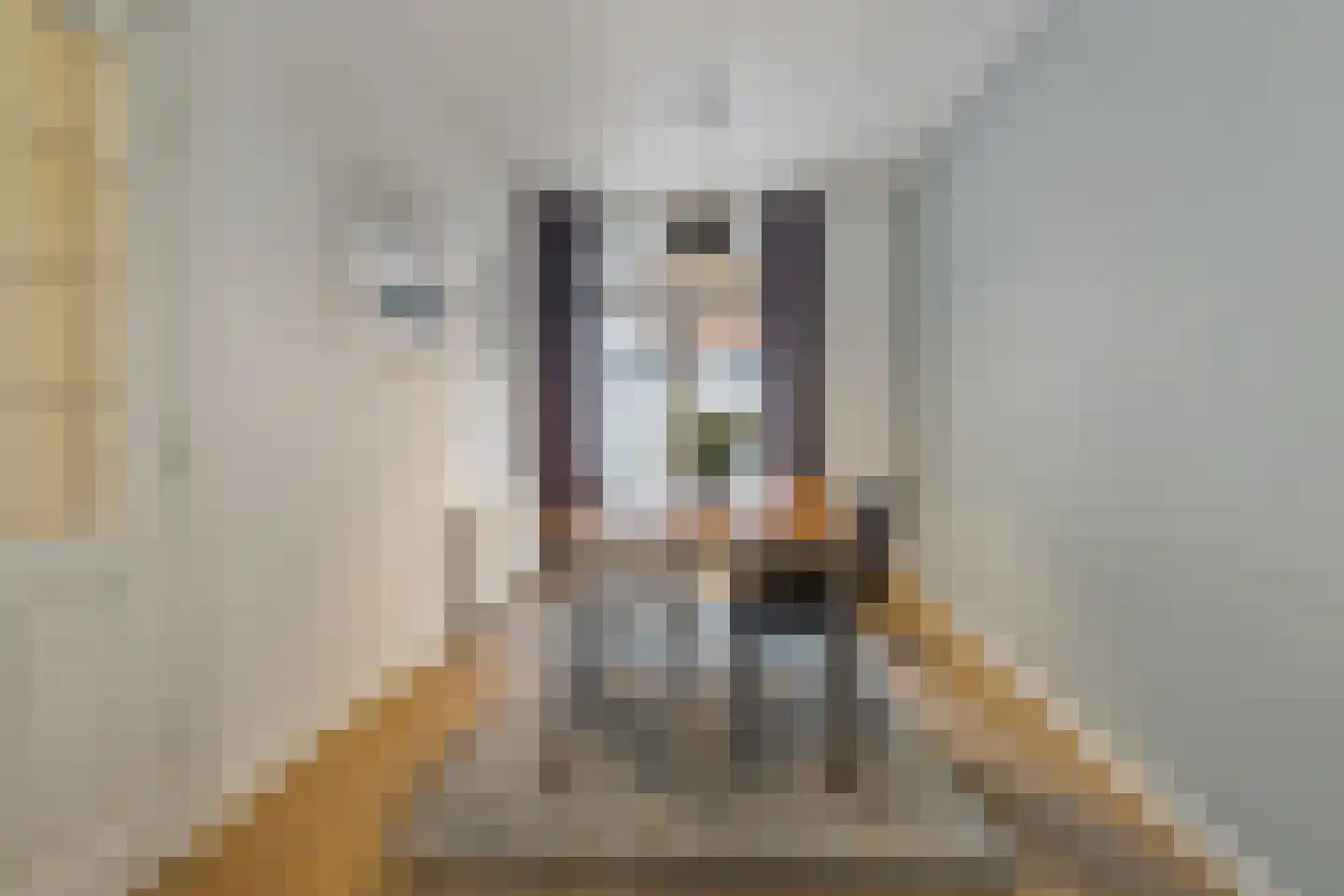Van der Palmstraat 1 Utrecht thumbnail 8