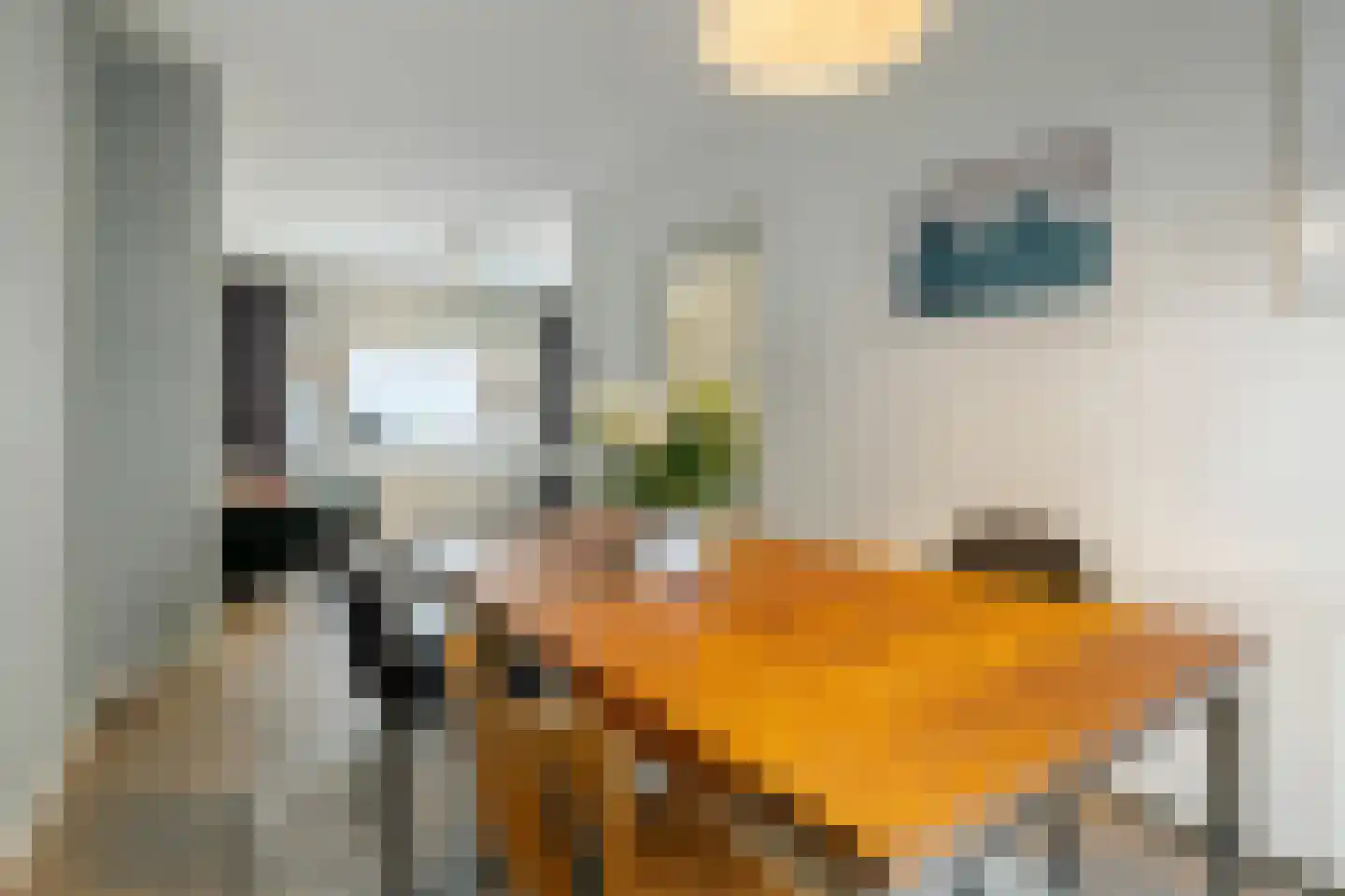 Van der Palmstraat 1 Utrecht thumbnail 9