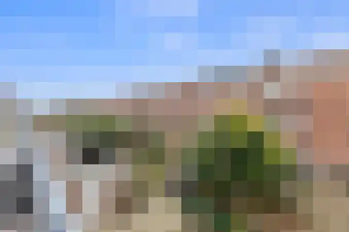 van der Palmstraat 103 Voorburg thumbnail 37