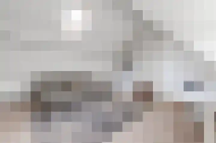 van der Palmstraat 103 Voorburg thumbnail 55