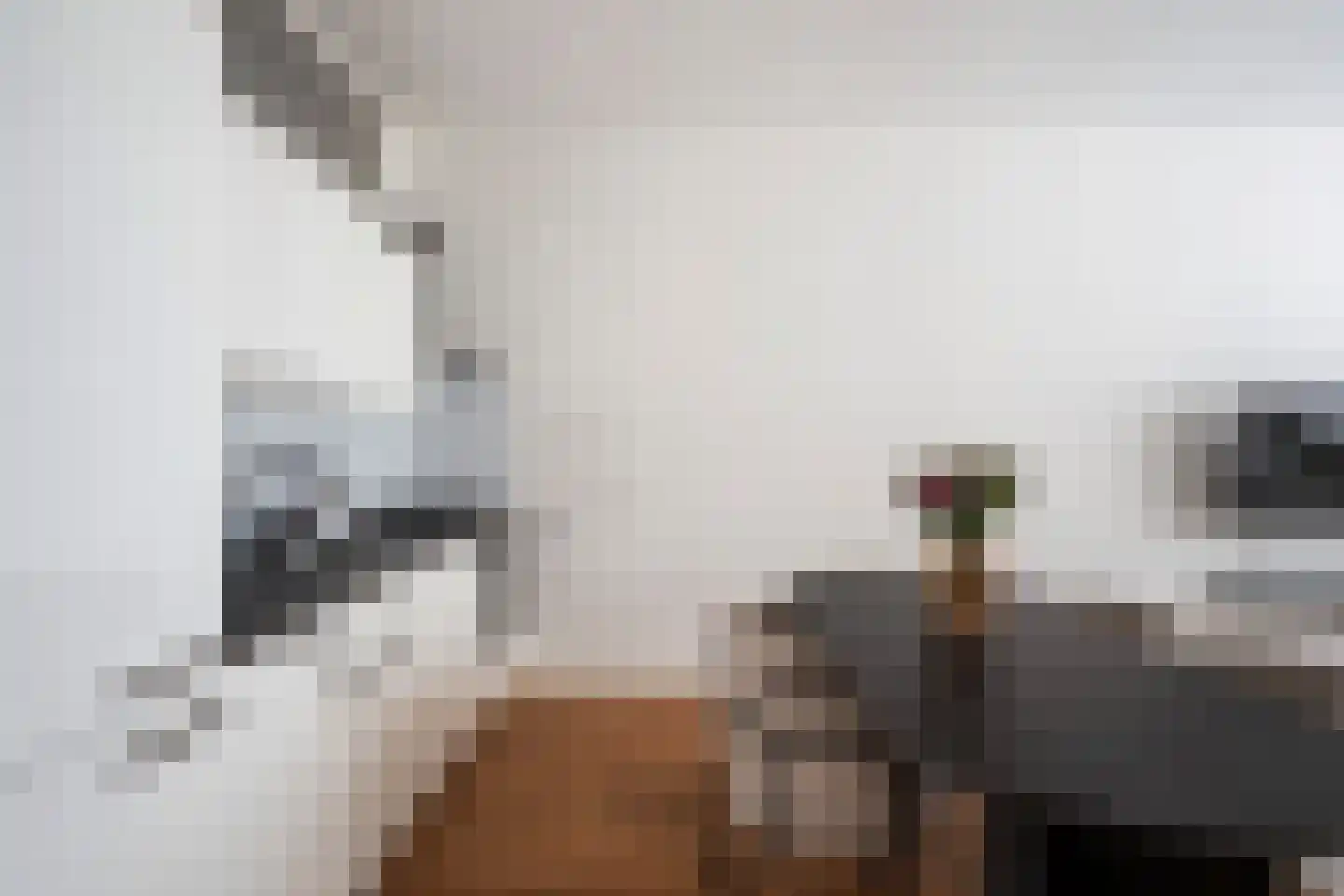 Van der Palmstraat 106 Rotterdam thumbnail 12