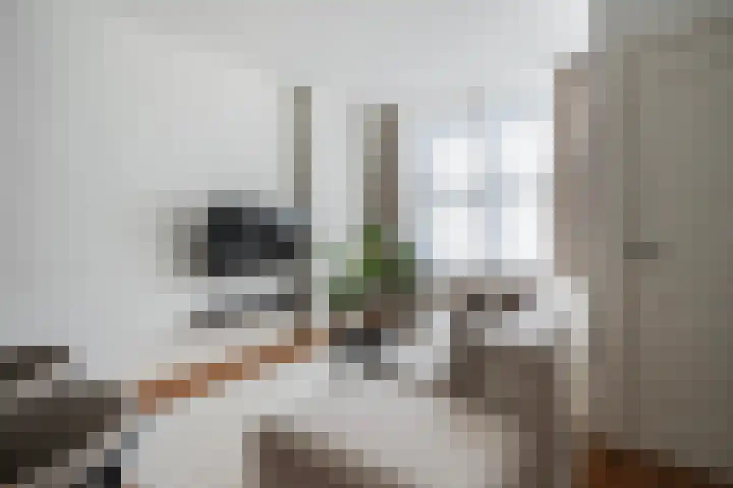 Van der Palmstraat 106 Rotterdam thumbnail 9