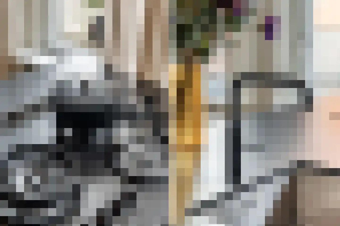 Van der Palmstraat 18 A Rotterdam thumbnail 14