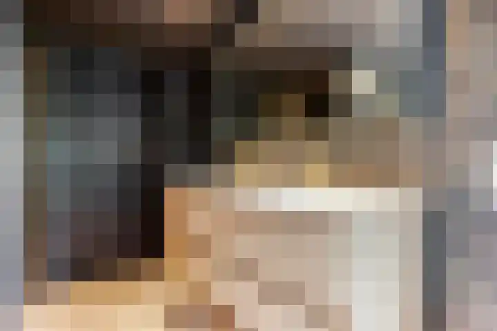 van der Palmstraat 20 Gouda thumbnail 33
