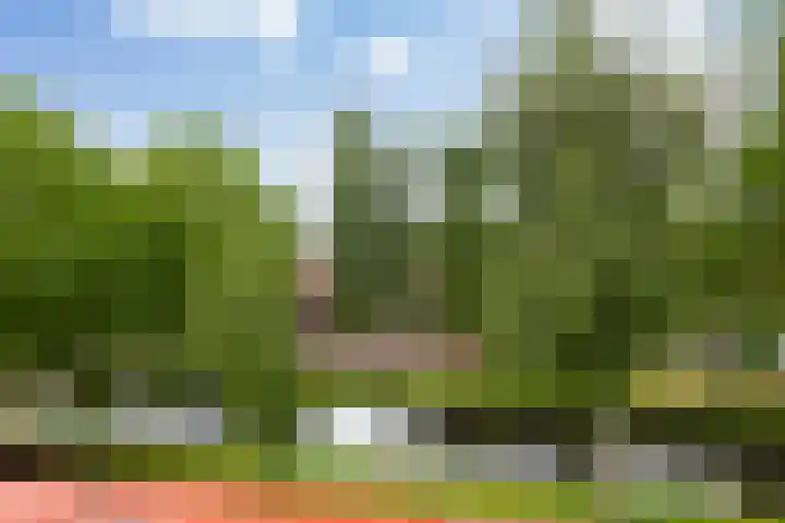 van der Palmstraat 20 Gouda thumbnail 37