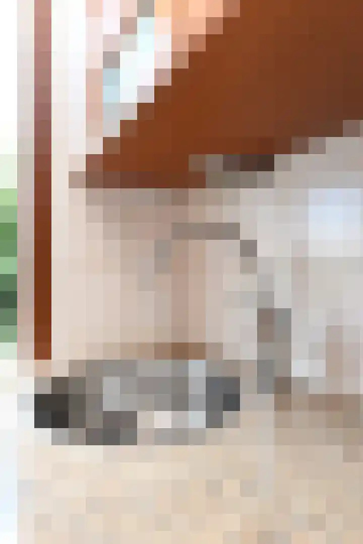 van der Palmstraat 20 Voorburg thumbnail 19