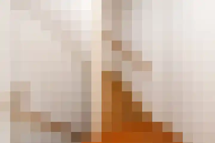 van der Palmstraat 20 Voorburg thumbnail 22