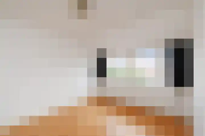 van der Palmstraat 20 Voorburg thumbnail 23