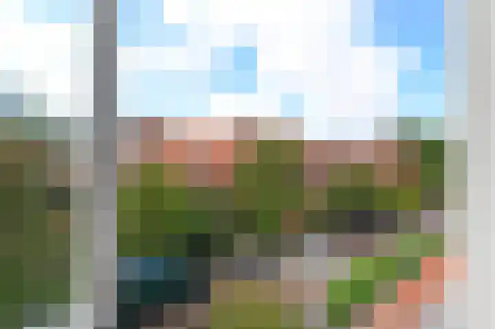 van der Palmstraat 20 Voorburg thumbnail 37