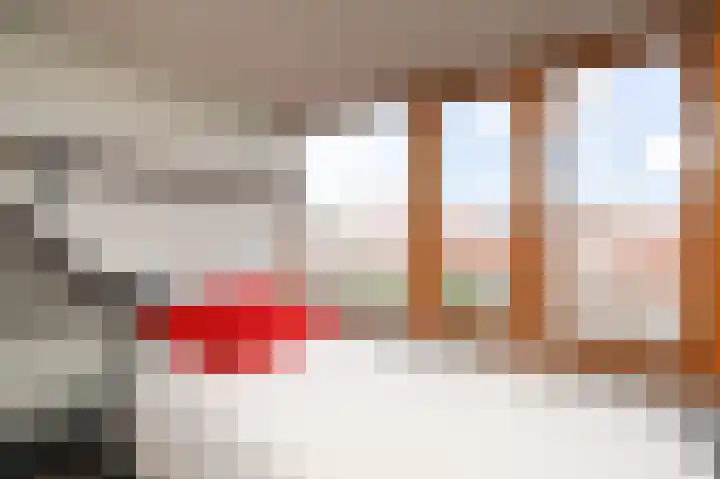 van der Palmstraat 20 Voorburg thumbnail 38