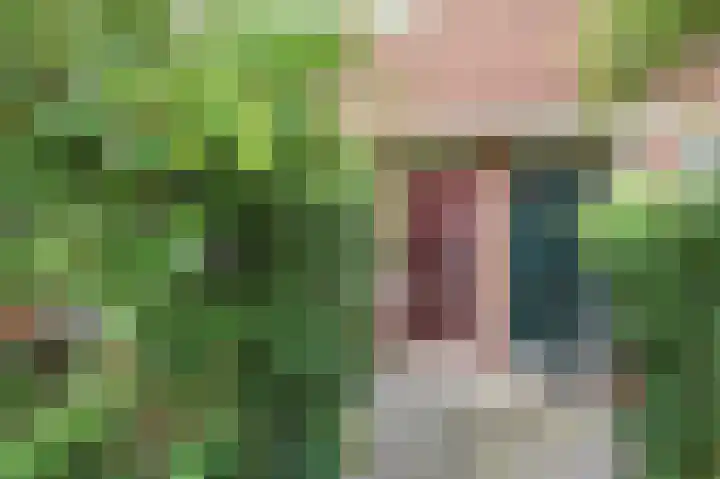 van der Palmstraat 20 Voorburg thumbnail 42