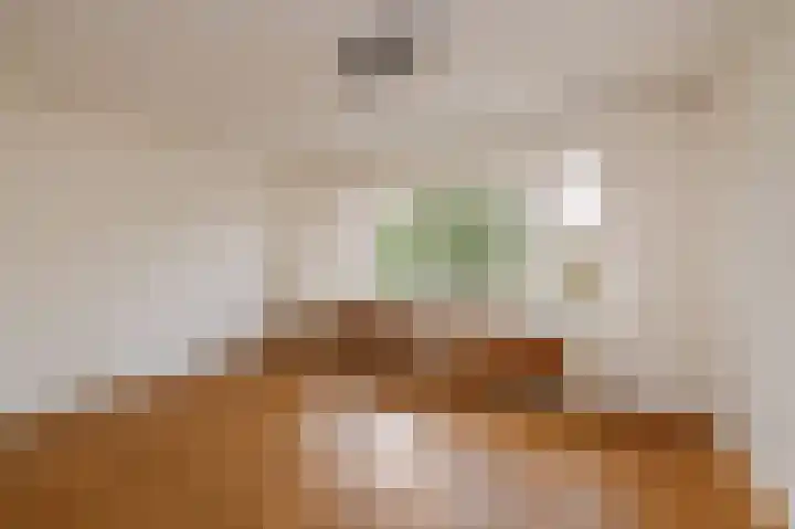 van der Palmstraat 20 Voorburg thumbnail 6