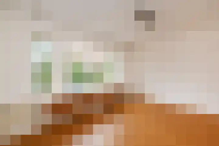 van der Palmstraat 20 Voorburg thumbnail 7
