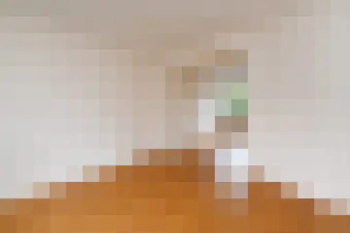 van der Palmstraat 20 Voorburg thumbnail 8