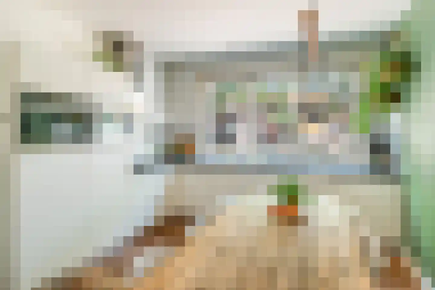 van der Palmstraat 23 Gouda thumbnail 18
