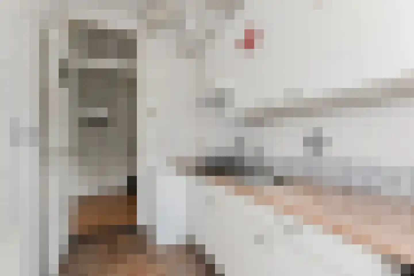van der Palmstraat 33 Voorburg thumbnail 10