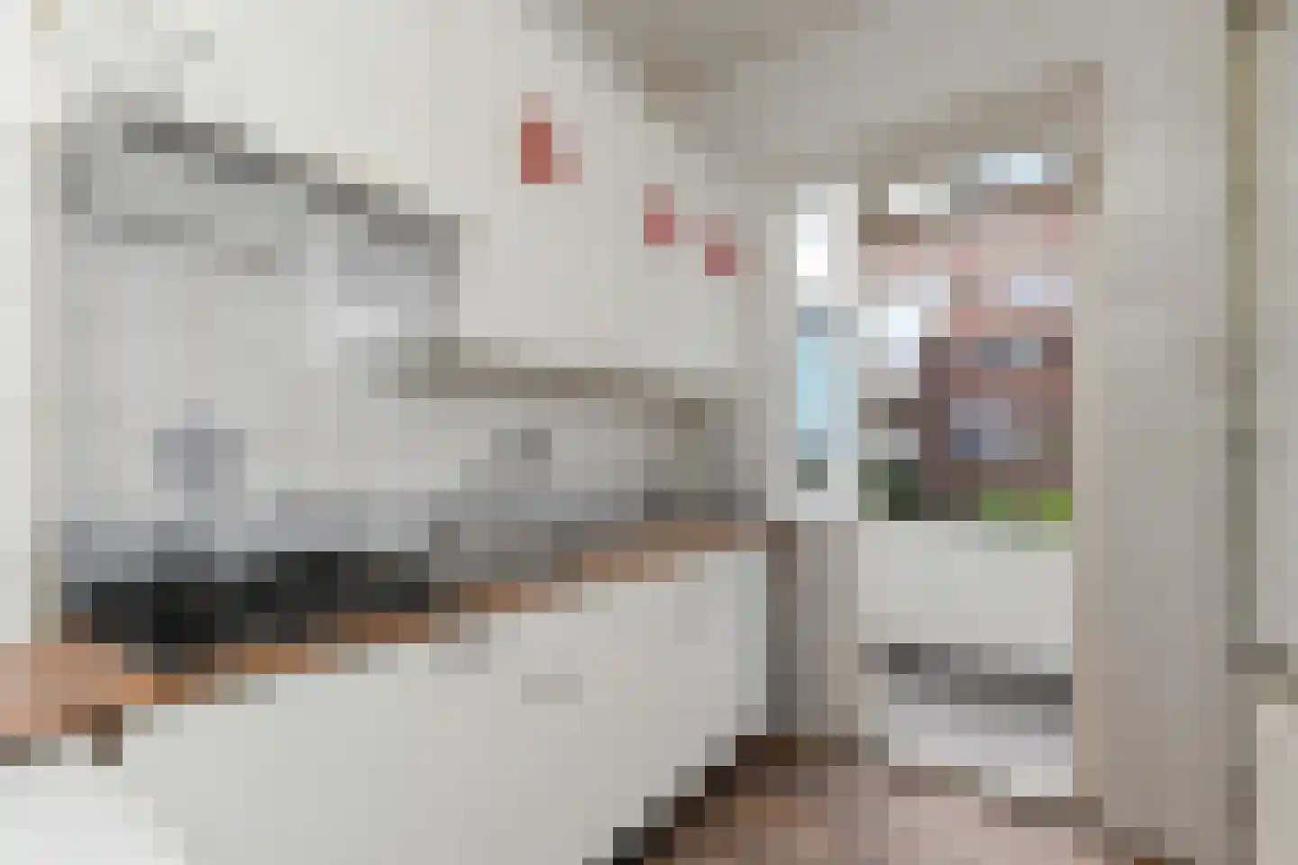 van der Palmstraat 33 Voorburg thumbnail 11