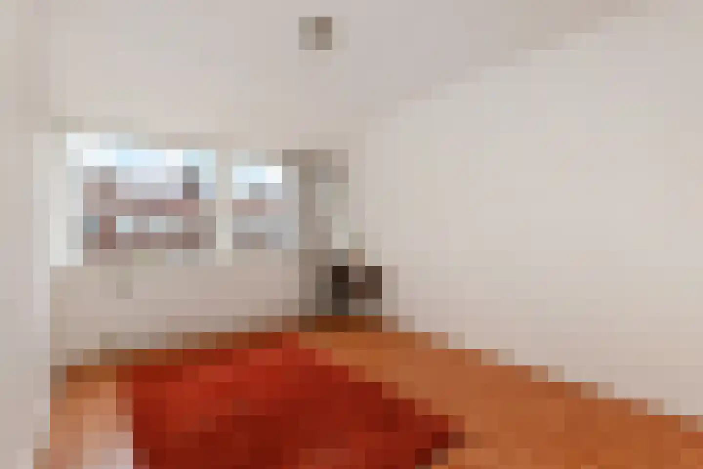 van der Palmstraat 33 Voorburg thumbnail 14