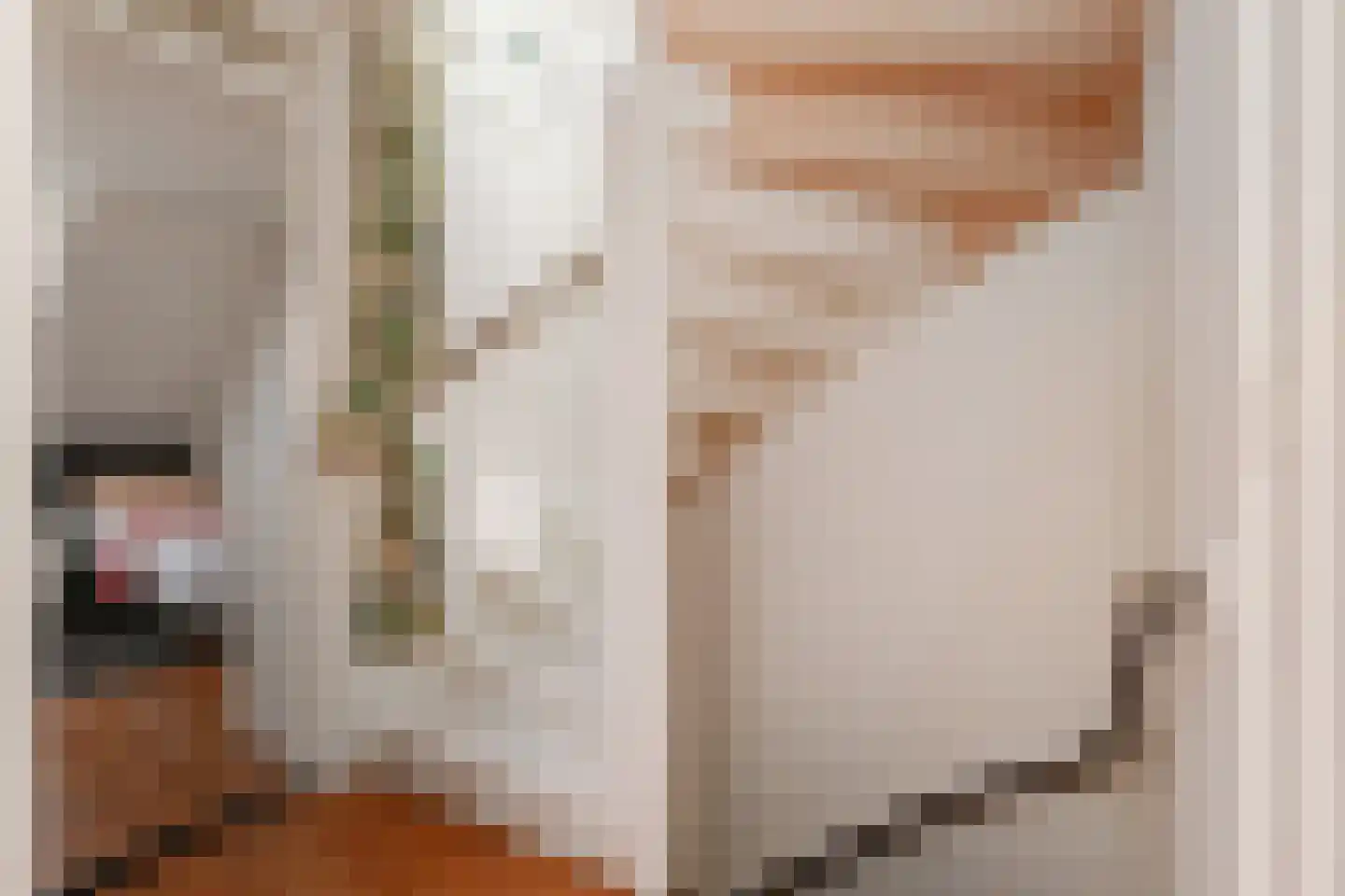 van der Palmstraat 33 Voorburg thumbnail 23