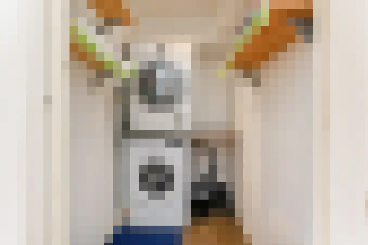 van der Palmstraat 33 Voorburg thumbnail 32