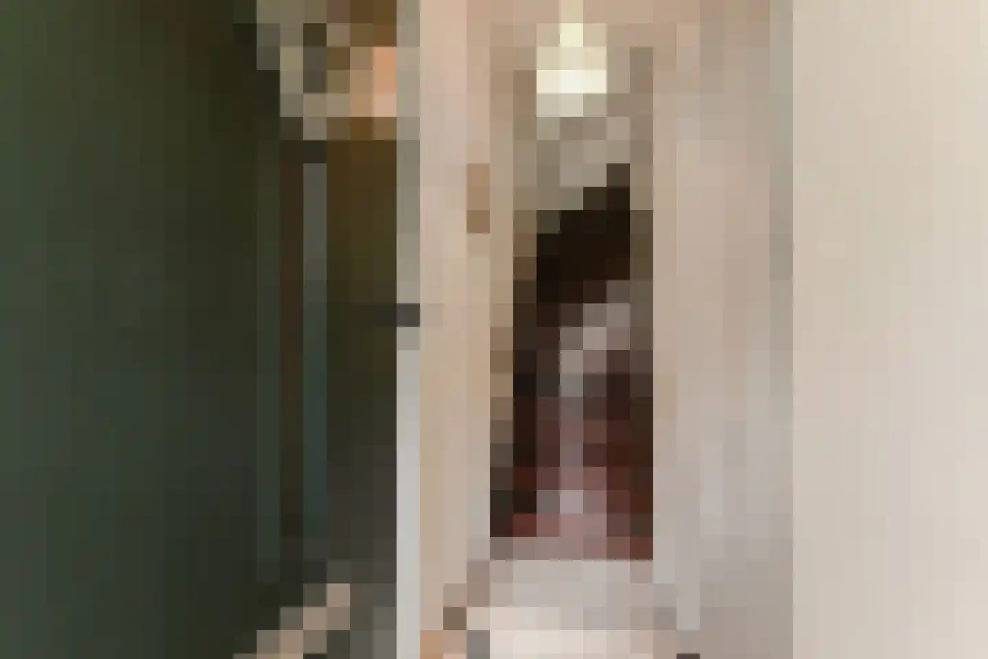 van der Palmstraat 33 Voorburg thumbnail 38