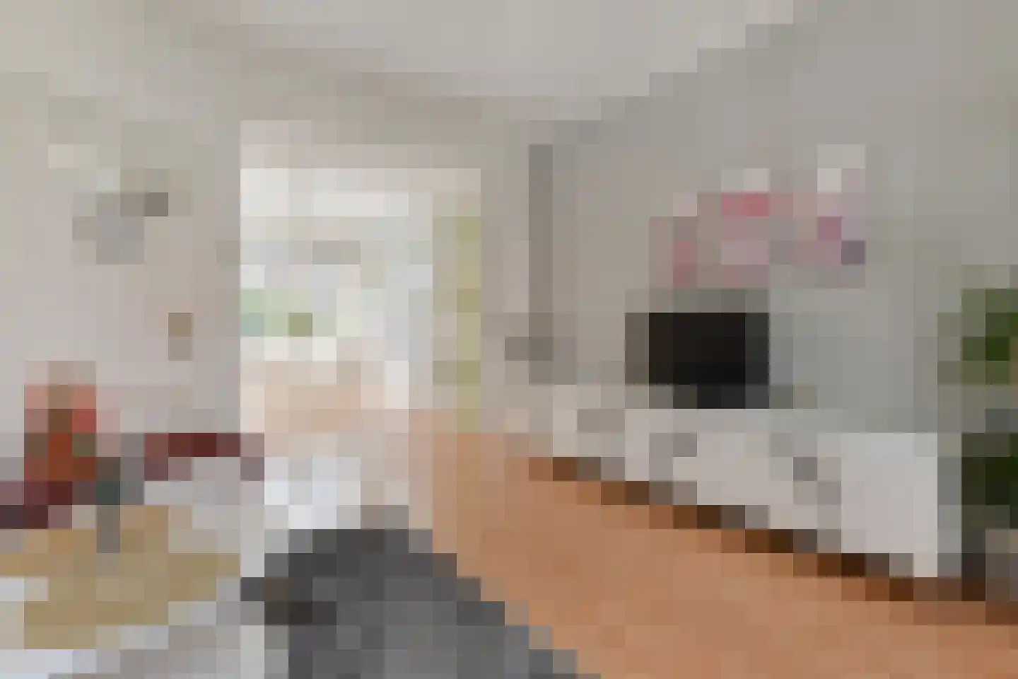 van der Palmstraat 33 Voorburg thumbnail 5