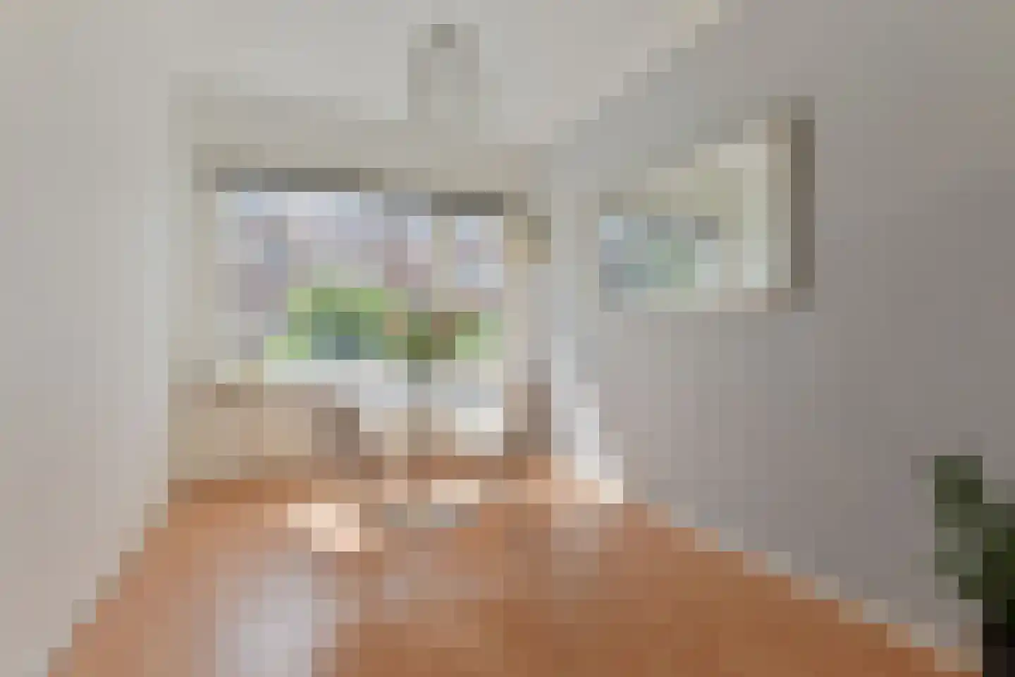 van der Palmstraat 33 Voorburg thumbnail 6