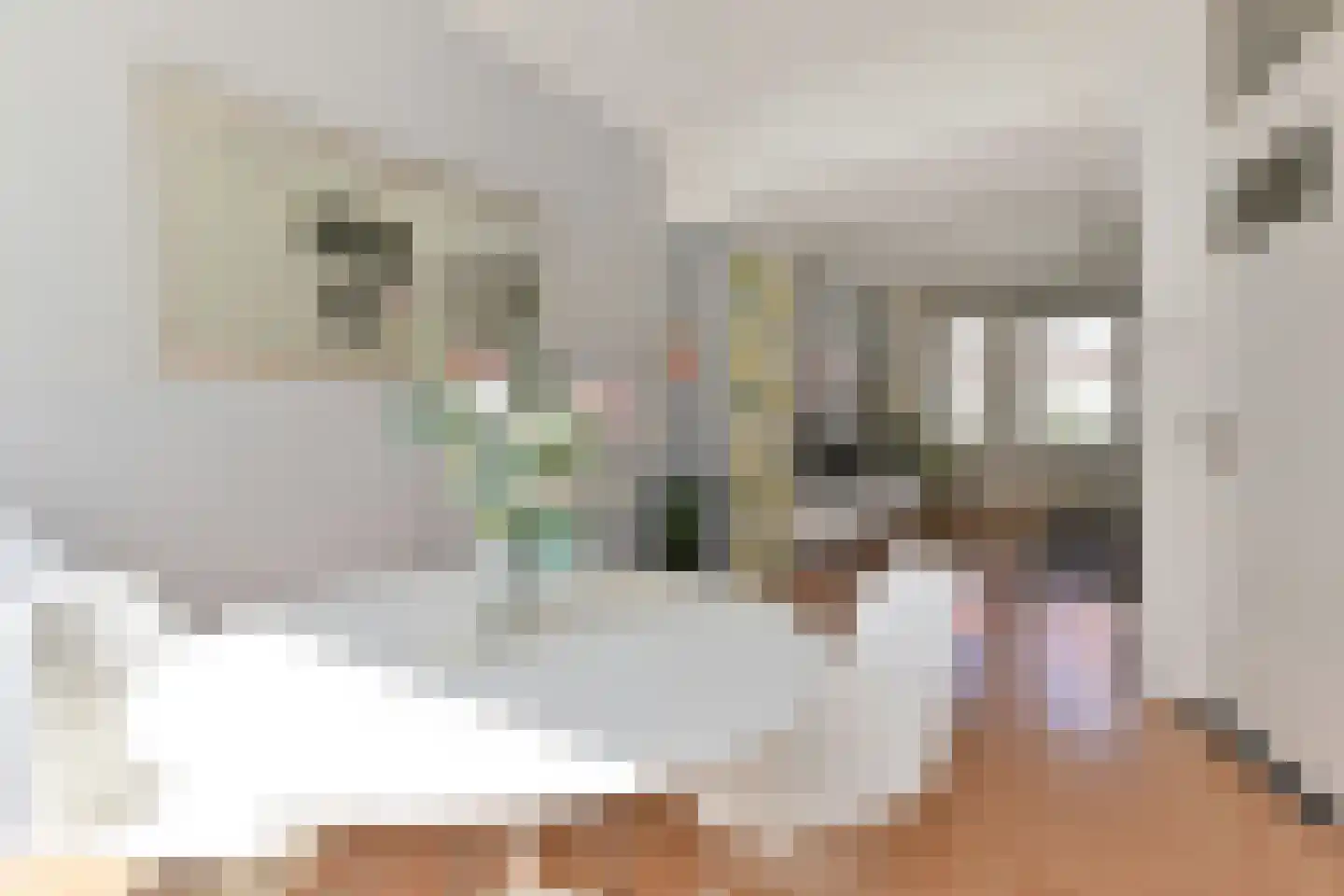 van der Palmstraat 33 Voorburg thumbnail 7