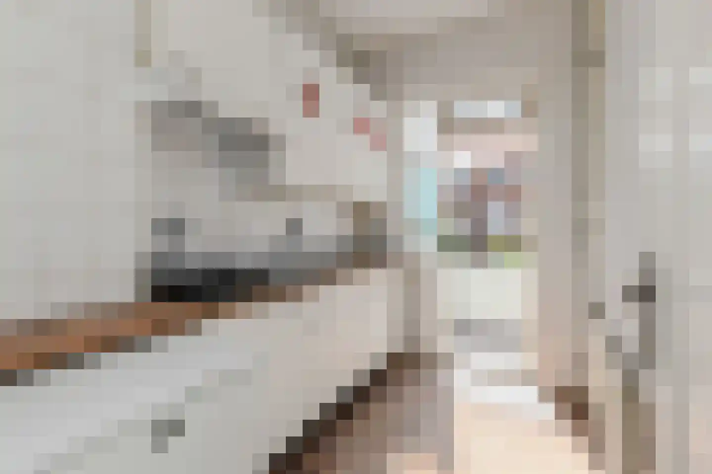 van der Palmstraat 33 Voorburg thumbnail 9