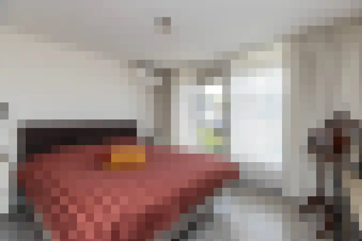 van der Palmstraat 4 Zwijndrecht thumbnail 22