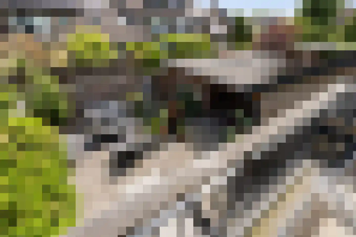 van der Palmstraat 4 Zwijndrecht thumbnail 24