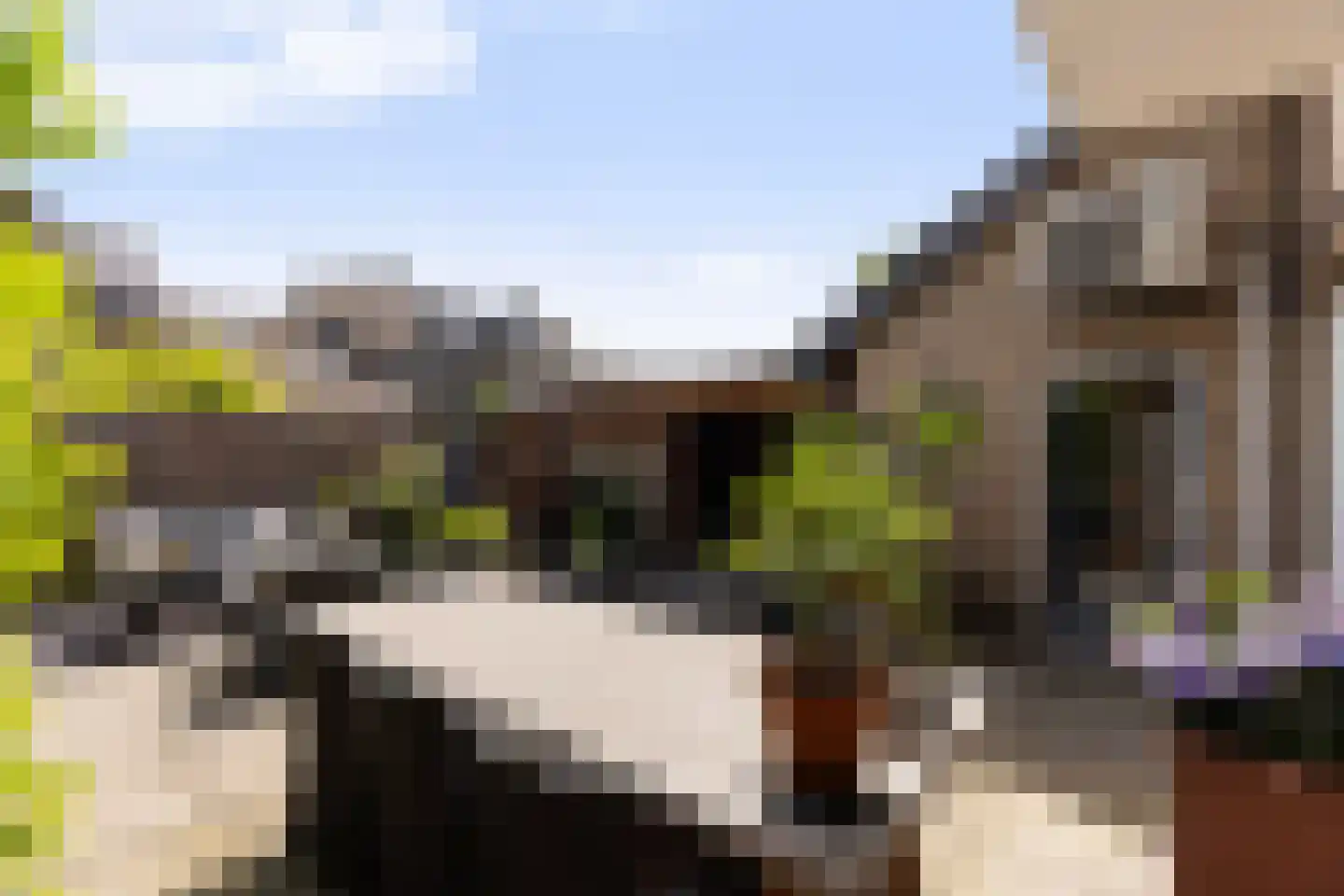 van der Palmstraat 4 Zwijndrecht thumbnail 31