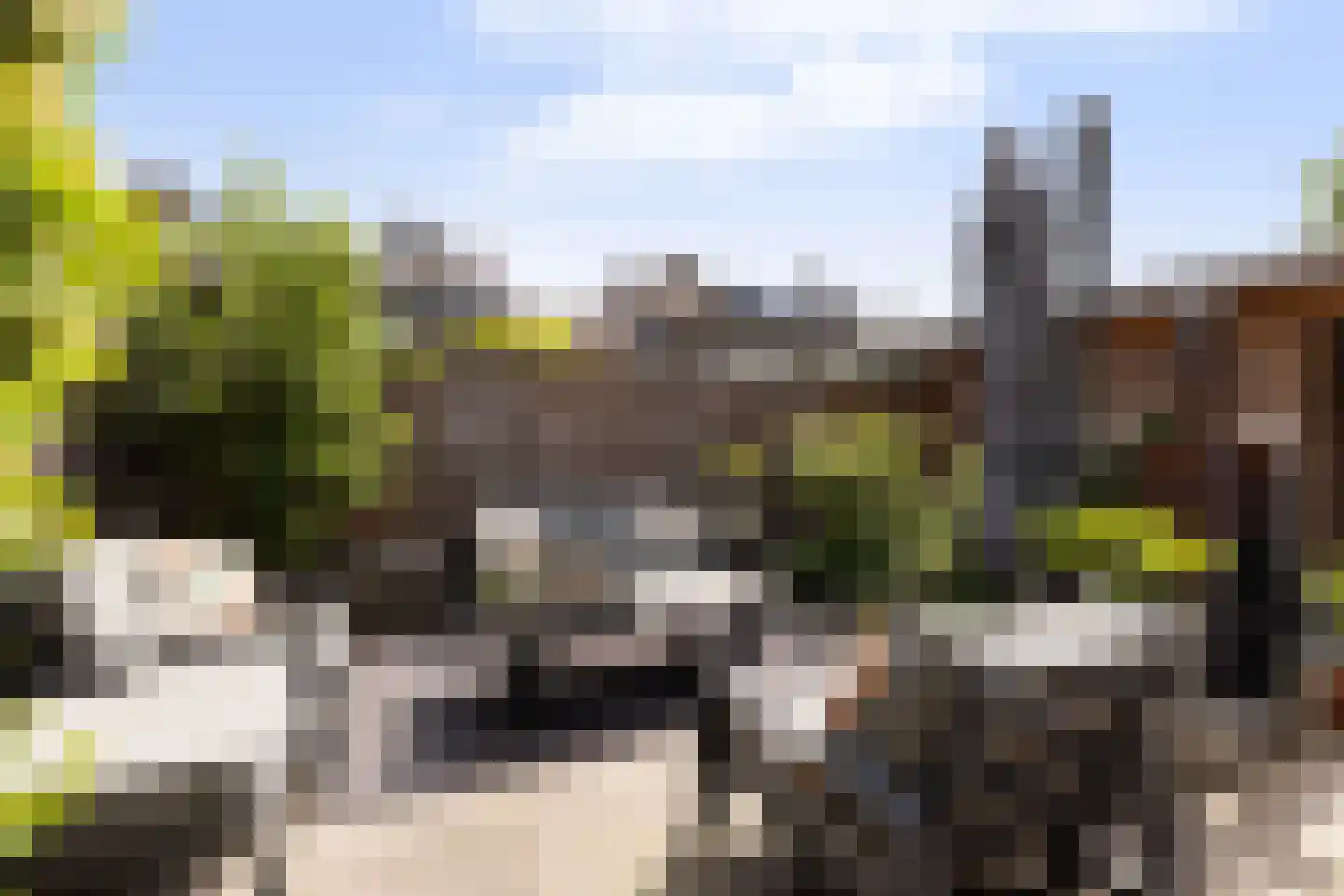van der Palmstraat 4 Zwijndrecht thumbnail 32