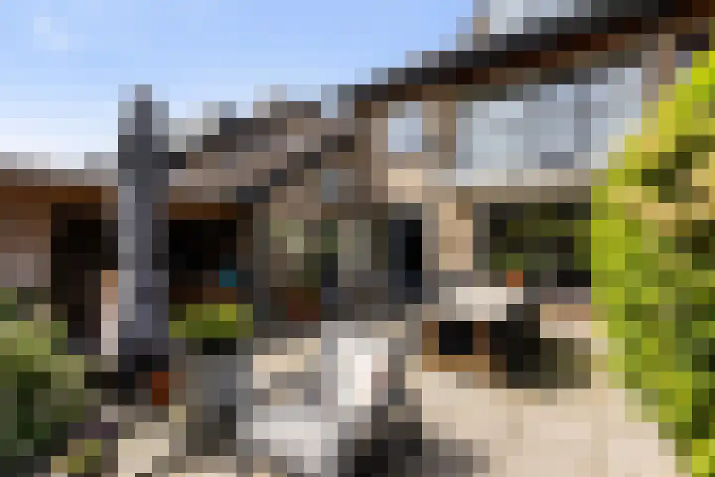 van der Palmstraat 4 Zwijndrecht thumbnail 35