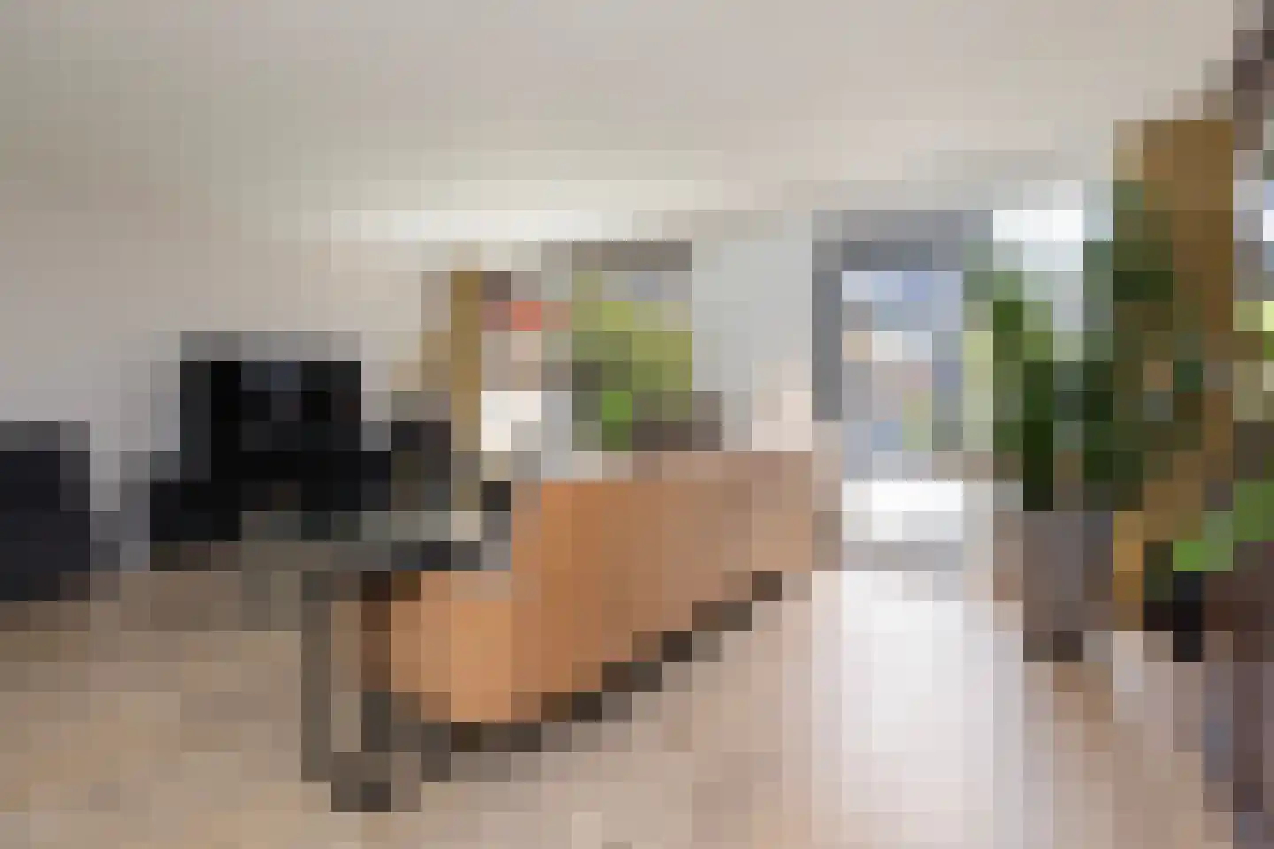van der Palmstraat 4 Zwijndrecht thumbnail 9