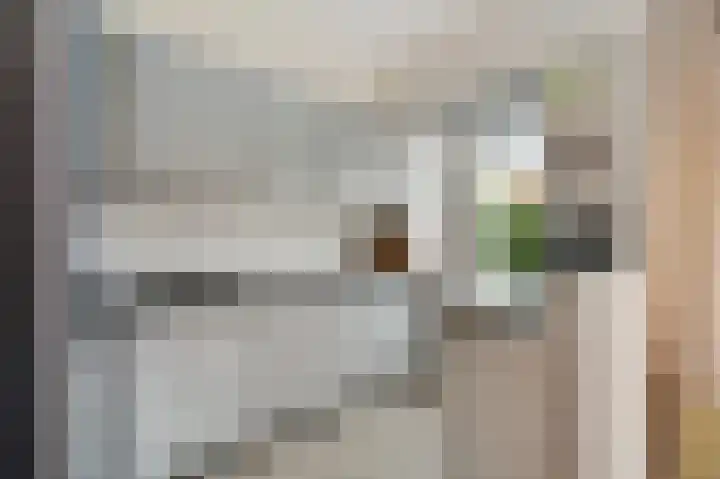 van der Palmstraat 45 Voorburg thumbnail 16