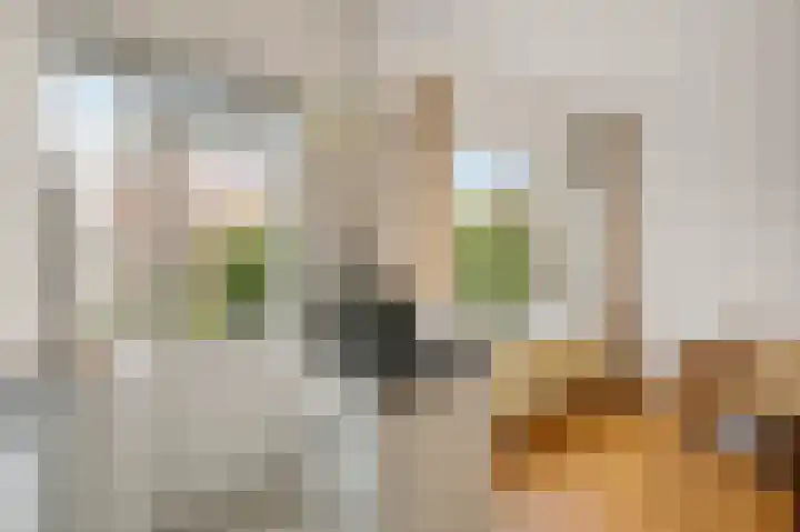 van der Palmstraat 45 Voorburg thumbnail 19