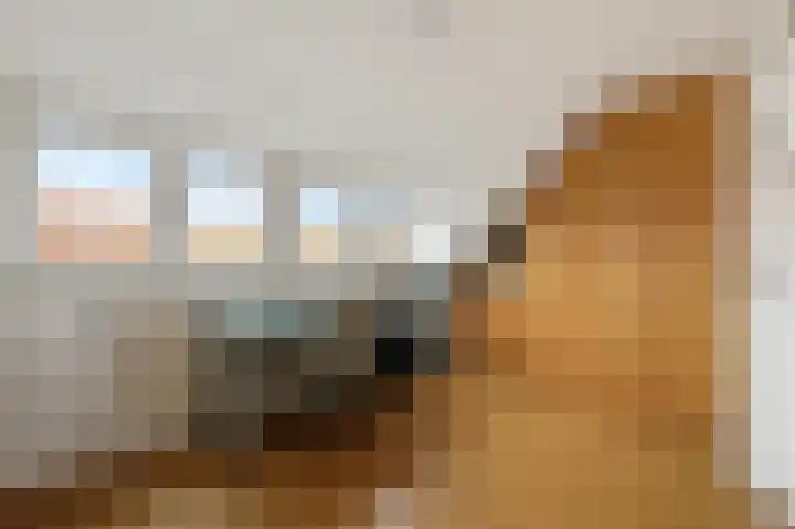 van der Palmstraat 45 Voorburg thumbnail 31