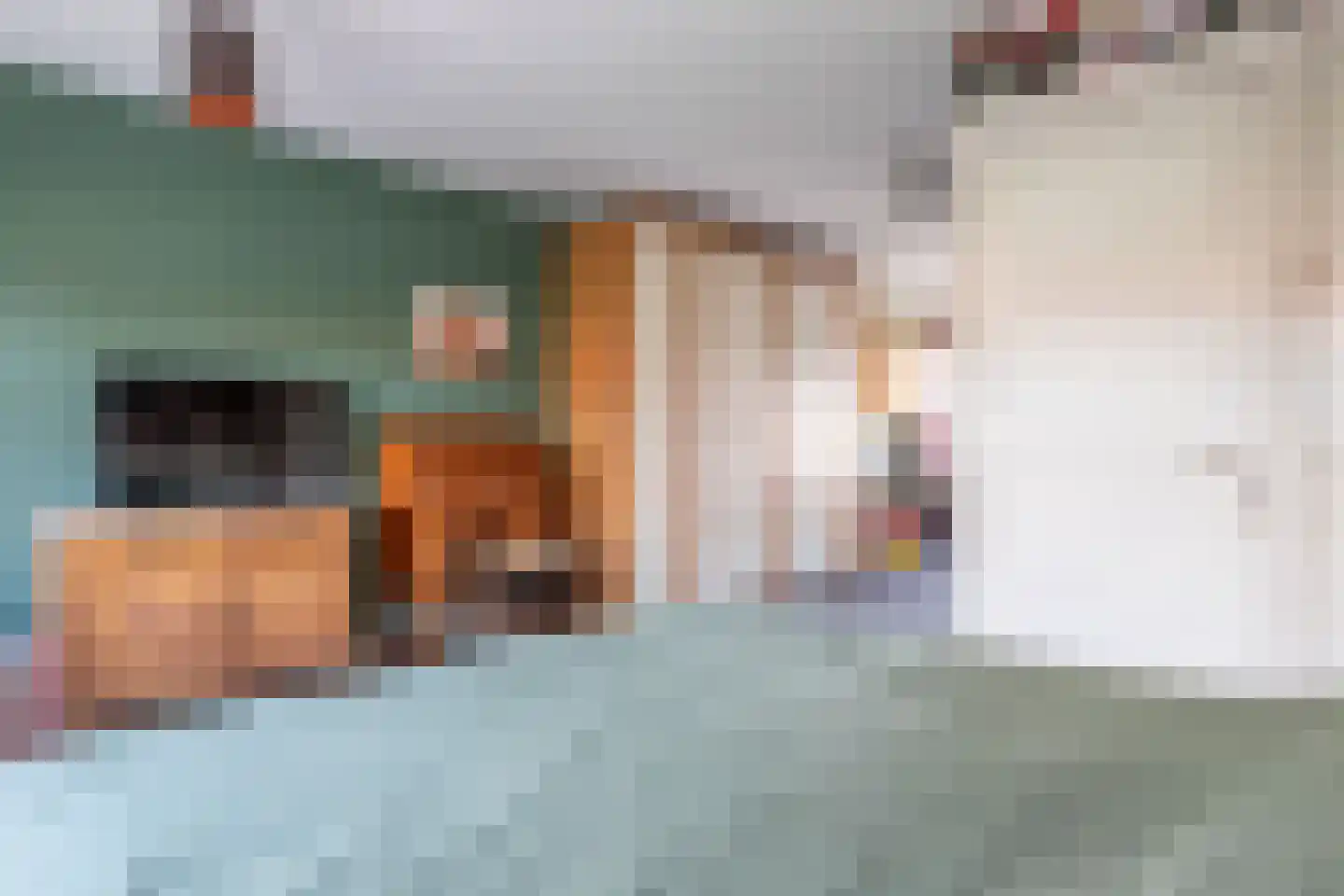 van der Palmstraat 49 Gouda thumbnail 31