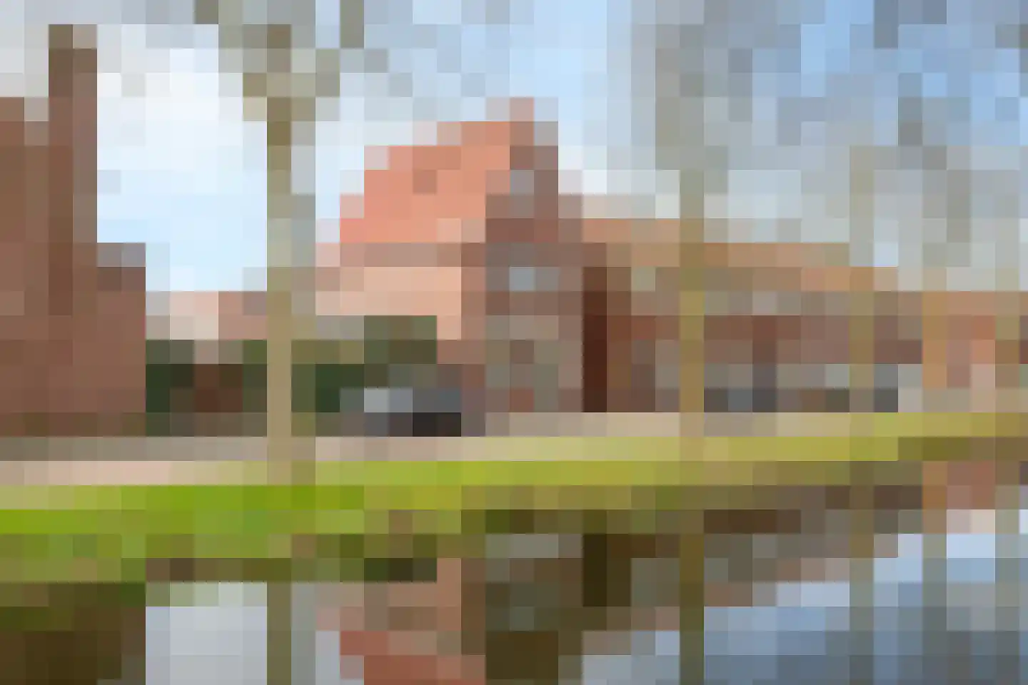 van der Palmstraat 49 Gouda thumbnail 5