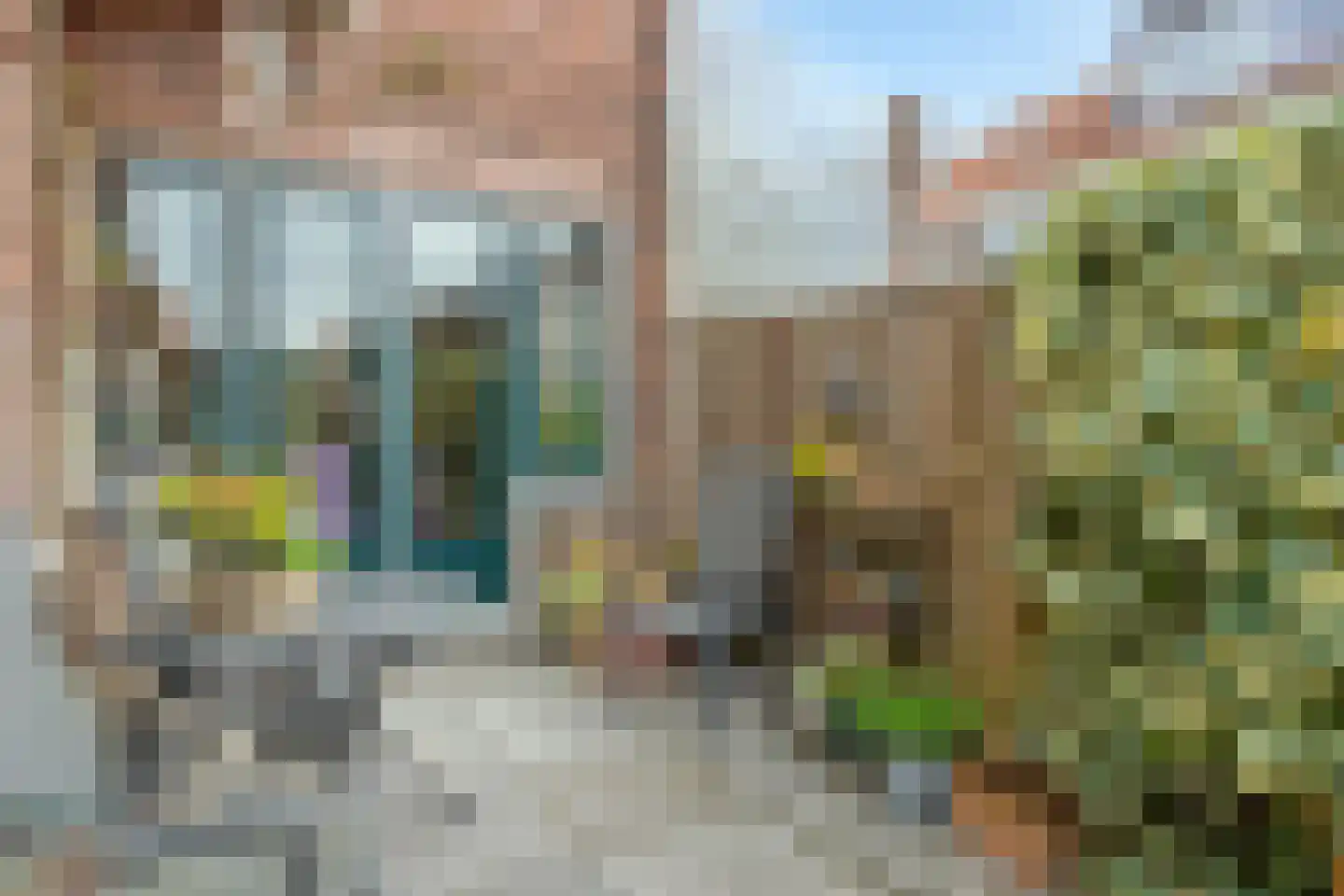 van der Palmstraat 49 Gouda thumbnail 53