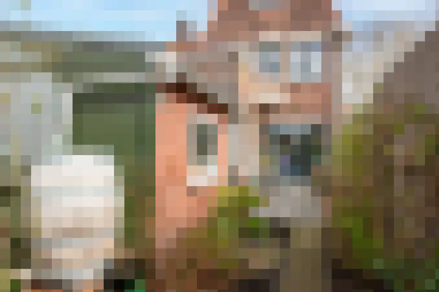 van der Palmstraat 49 Gouda thumbnail 55