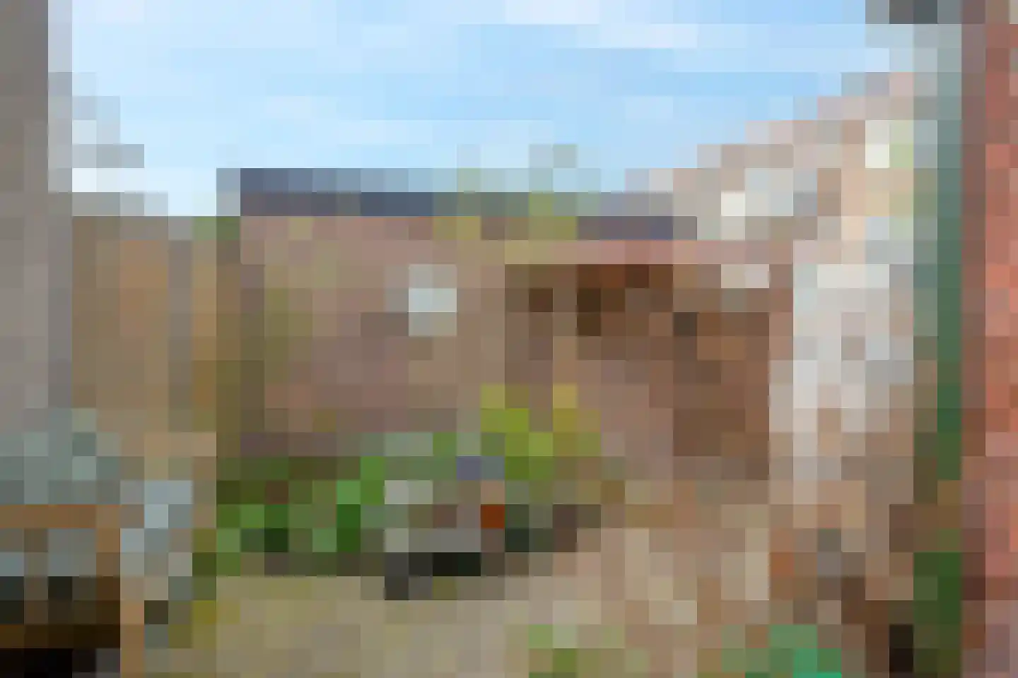 van der Palmstraat 49 Gouda thumbnail 56