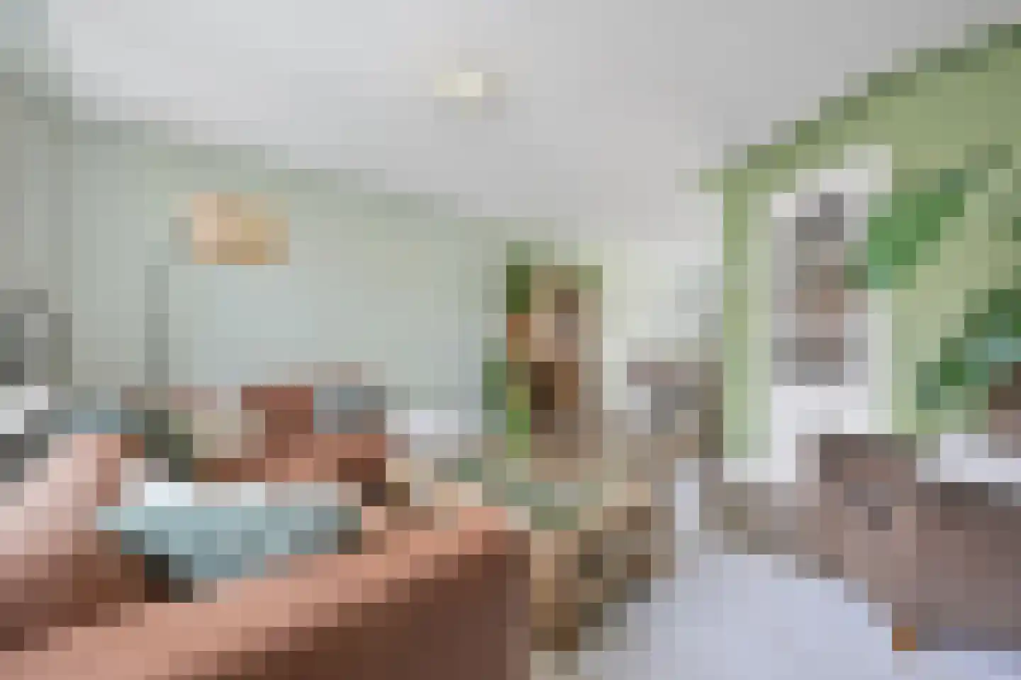 van der Palmstraat 55 Voorburg thumbnail 12
