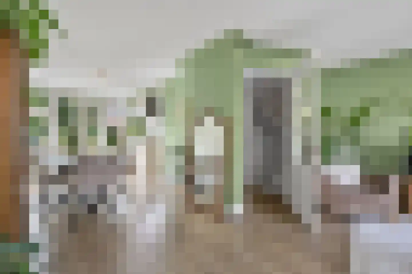 van der Palmstraat 55 Voorburg thumbnail 13