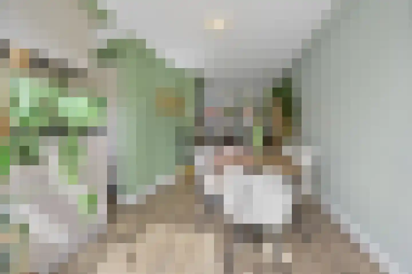 van der Palmstraat 55 Voorburg thumbnail 14