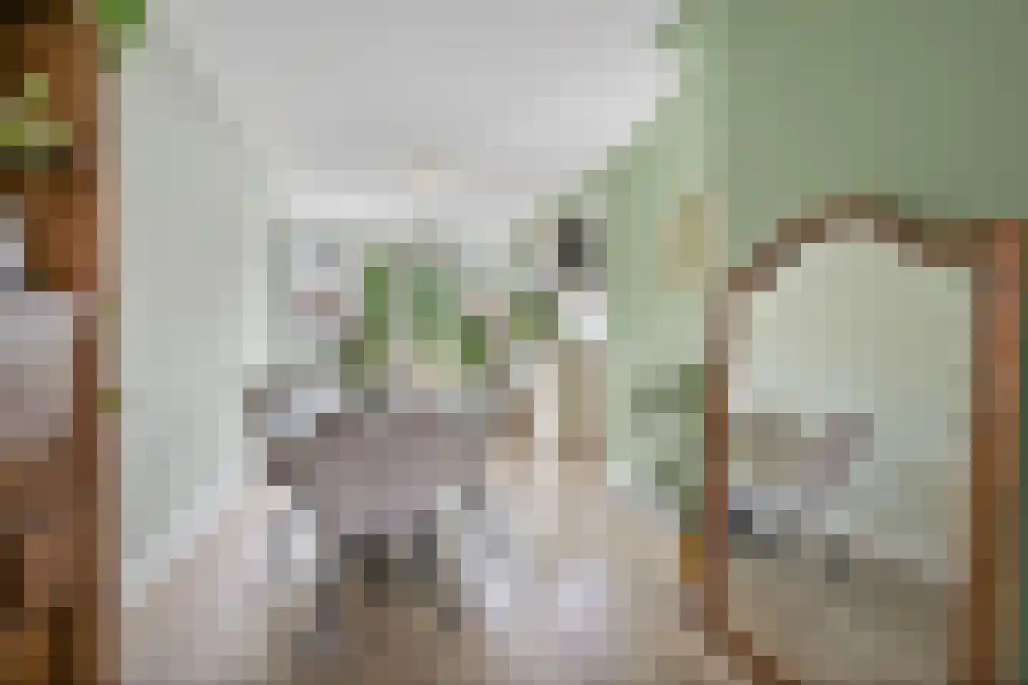 van der Palmstraat 55 Voorburg thumbnail 15