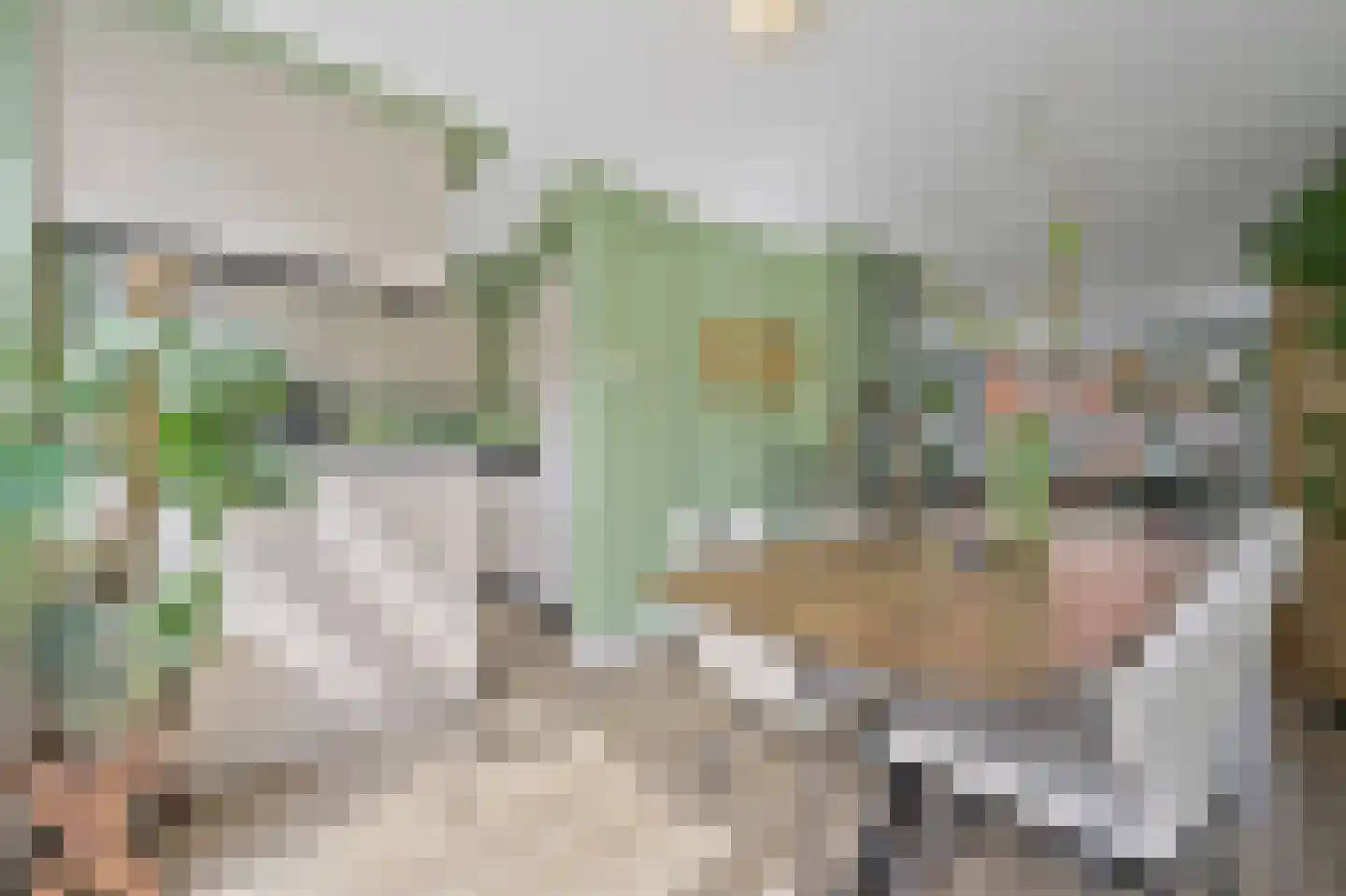 van der Palmstraat 55 Voorburg thumbnail 16